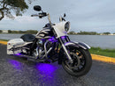Harley 09-Present Manual Center Stand - Backyard Air Suspension & Innovations, LLC.